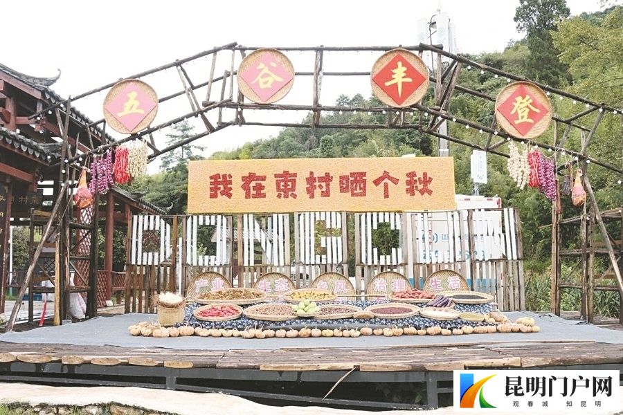 春城大地尽丰收